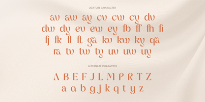 Mayra Font Poster 10