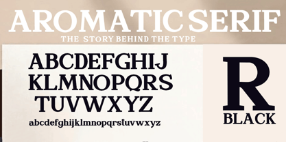 Espena Font Poster 8