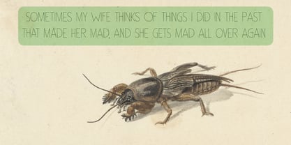 Insect Jar Pro Font Poster 4
