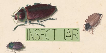 Insect Jar Pro Font Poster 1