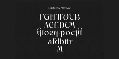 Lumiflora Font Poster 7
