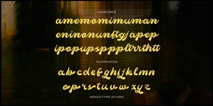 Mainer Wisdom Font Poster 12