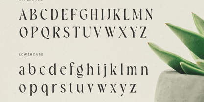Brivele Font Poster 3
