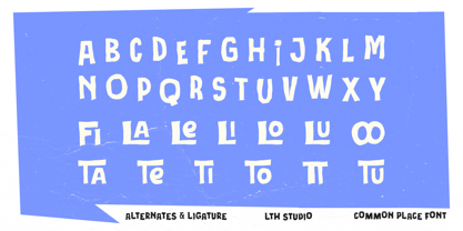 Common Place Font Poster 6