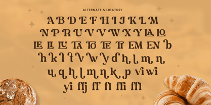 Bakerian Font Poster 9
