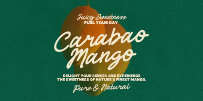 Gambiro Holiday Font Poster 7