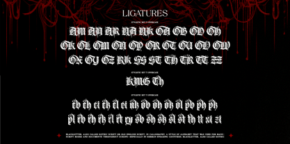 Gryphire Black Font Poster 13