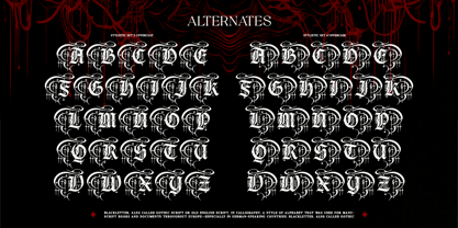 Gryphire Black Font Poster 7