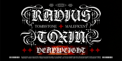 Gryphire Black Font Poster 6
