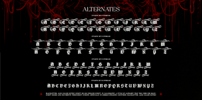 Gryphire Black Font Poster 11