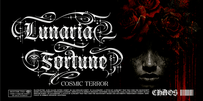 Gryphire Black Font Poster 4