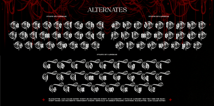 Gryphire Black Font Poster 8