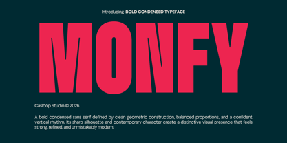 Monfy Font Poster 1