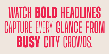 Monfy Font Poster 4