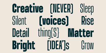 Monfy Font Poster 8