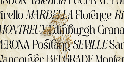 Sefina Brandish Font Poster 6