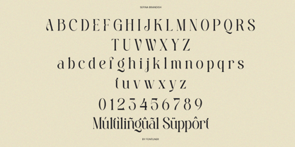 Sefina Brandish Font Poster 9