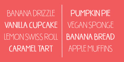 Perfect Timing Font Poster 4