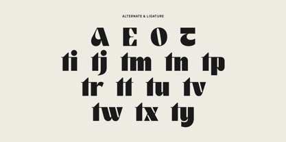 Botaric Font Poster 6
