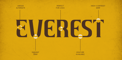New States Font Poster 8