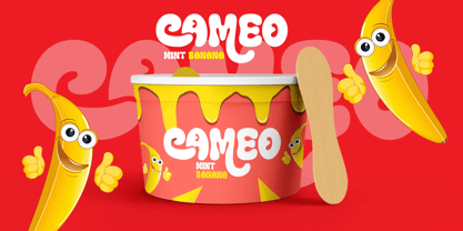 Tomacho Font Poster 8