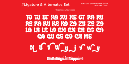Tomacho Font Poster 12