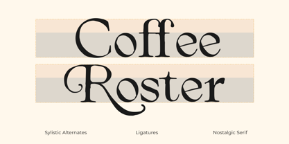 Arthouse Cinema Font Poster 13
