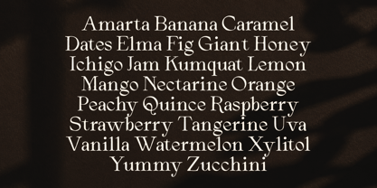 Arthouse Cinema Font Poster 6