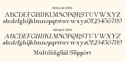 Arthouse Cinema Font Poster 14
