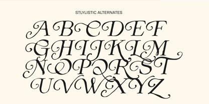 Arthouse Cinema Font Poster 15