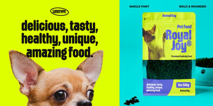Smigle Font Poster 4