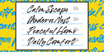Barellys Albion Font Poster 8