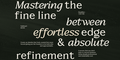 Metaspire Font Poster 8