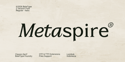 Metaspire Font Poster 1