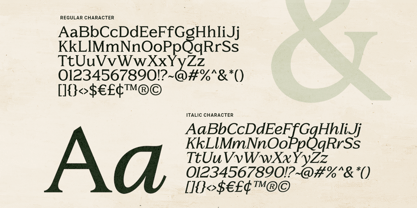 Metaspire Font Poster 9
