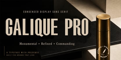 Galique Pro Font Poster 1