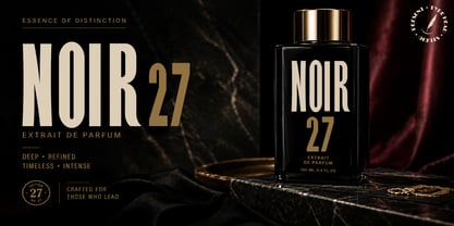 Galique Pro Font Poster 8