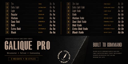 Galique Pro Font Poster 2