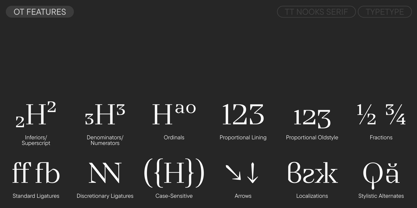 TT Nooks Serif Font Poster 12