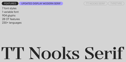 TT Nooks Serif Font Poster 1