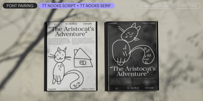 TT Nooks Serif Font Poster 11