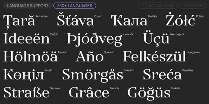 TT Nooks Serif Font Poster 7
