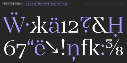 TT Nooks Serif Font Poster 15