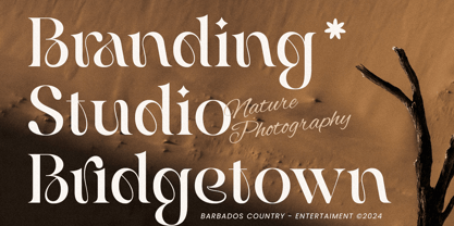 Ravliza Font Poster 12