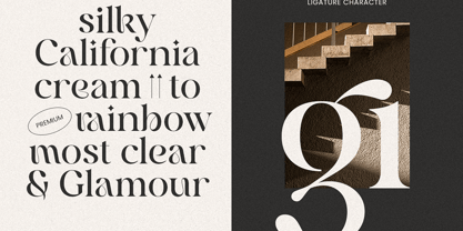 Ravliza Font Poster 6