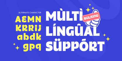 Bulking Font Poster 14