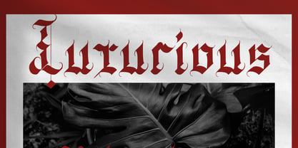 Wedgen Holdeza Font Poster 5