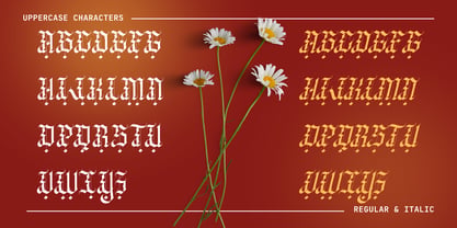 Wedgen Holdeza Font Poster 10