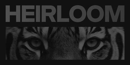 Godskin Grotesk Font Poster 11