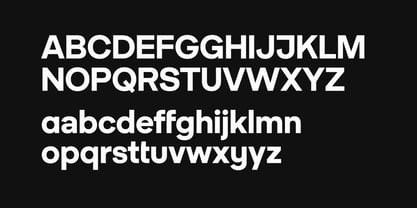 Godskin Grotesk Font Poster 4